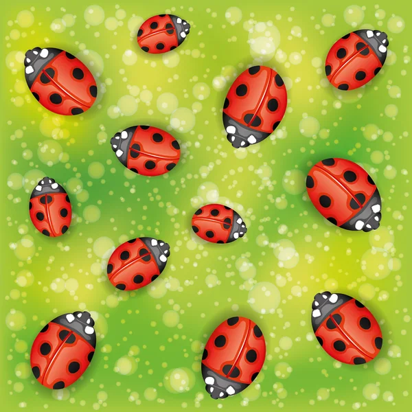 Vector background. Ladybugs. — Stock Vector