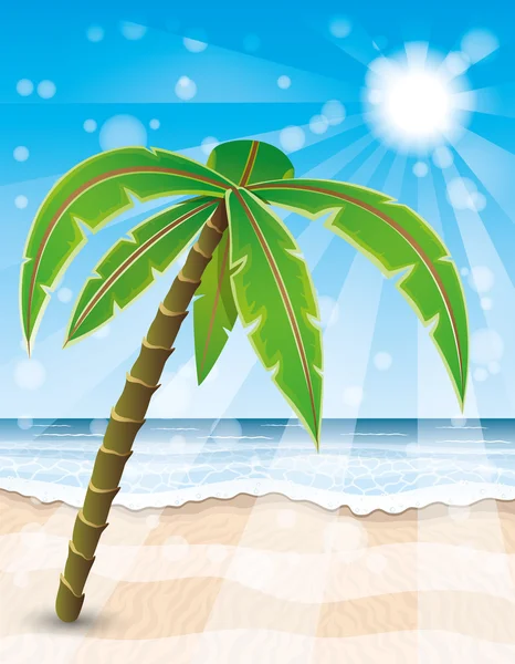 Playa tropical. — Vector de stock