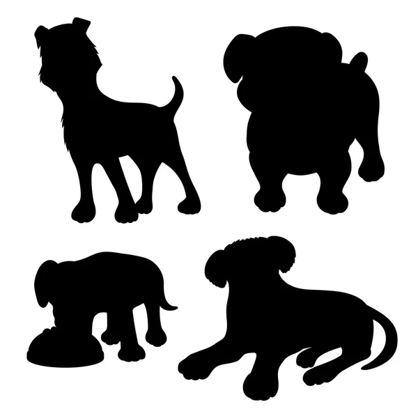 Conjunto de vectores. Perros . — Vector de stock