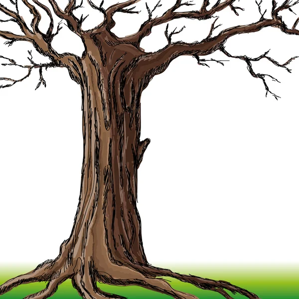 Vector illustration. Tree. — Stock Vector