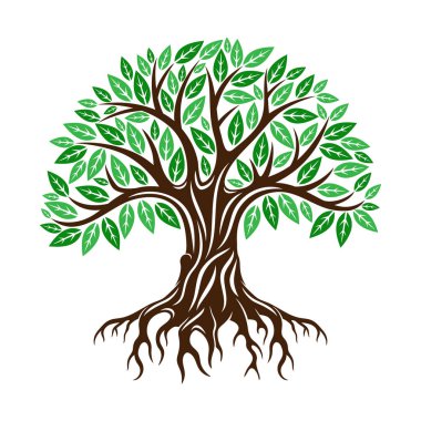 Kökleri beyaz arkaplanda olan bir ağaç tasviri.