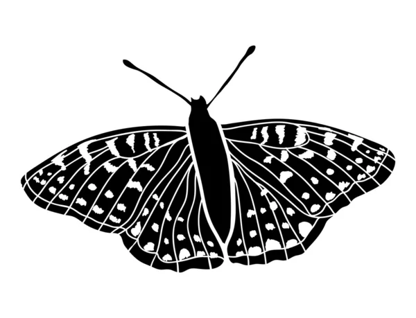Vlinder geïsoleerd op wit. — Stockvector