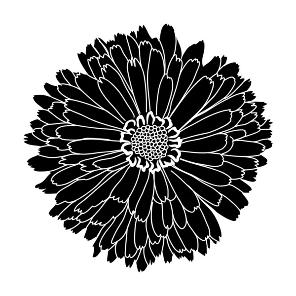 Signo vectorial. Flor . — Archivo Imágenes Vectoriales