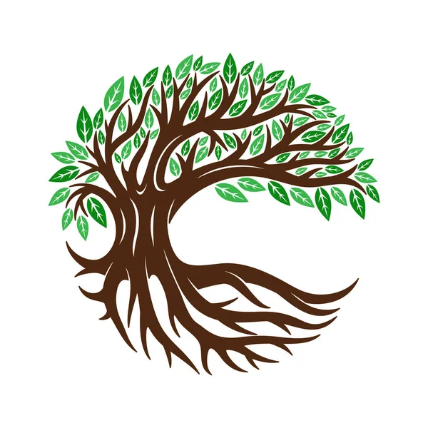 Icono Del Árbol Con Ramas Raíces Sobre Fondo Blanco — Vector de stock