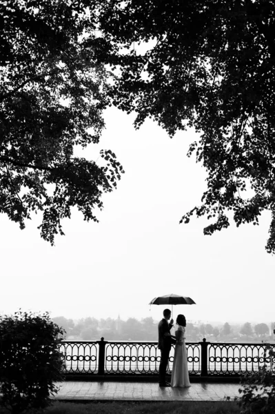 Loving couple under an umbrella — Stock Photo, Image