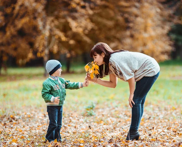 Liten pojke och hans mor i parken hösten — Stockfoto