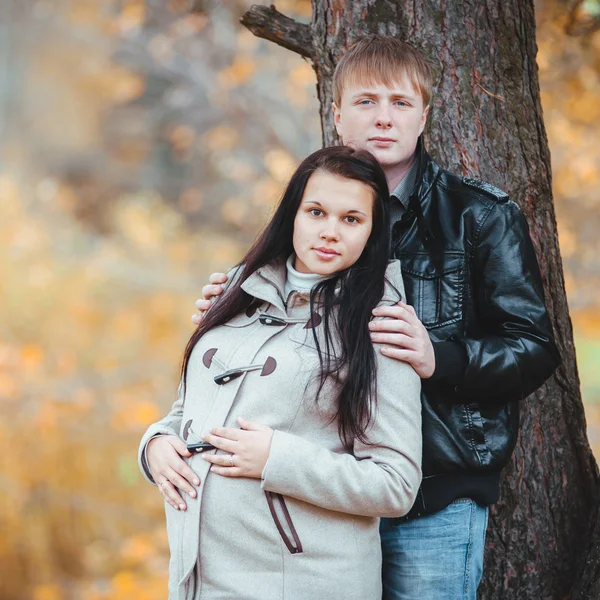 Amante pareja embarazada caminando en el parque de otoño — Foto de Stock
