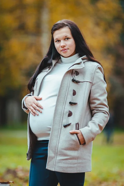 Mujer embarazada en el parque de otoño — Foto de Stock