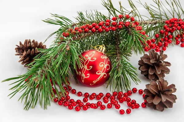 Christmas ball with pine branch — Stock Photo, Image