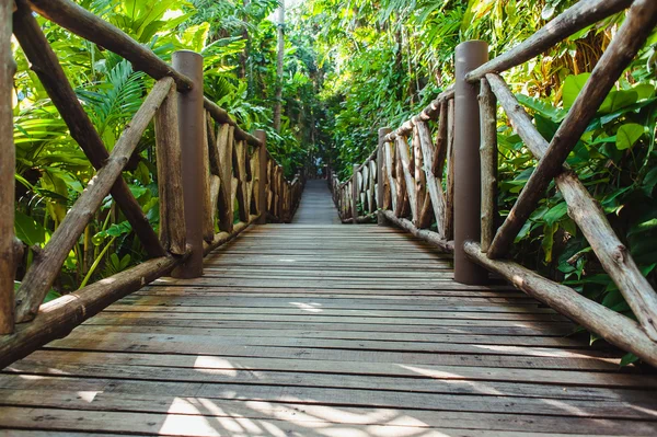 Sentiero di legno attraverso la foresta tropicale — Foto Stock