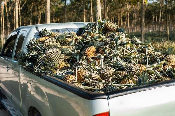Pineapple on the truck — Stock Photo, Image