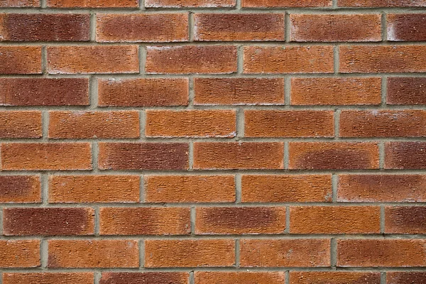 Brick wall texture — Stock Photo, Image