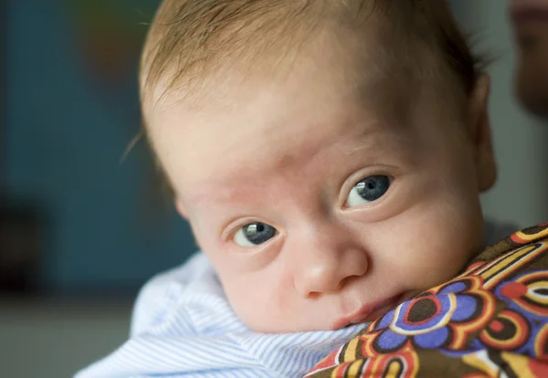 2 měsíce starý baby boy — Stock fotografie