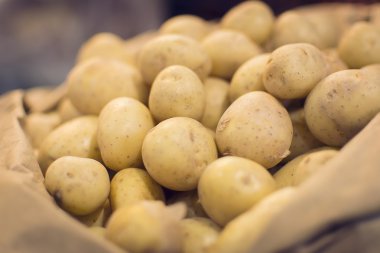 taze patates