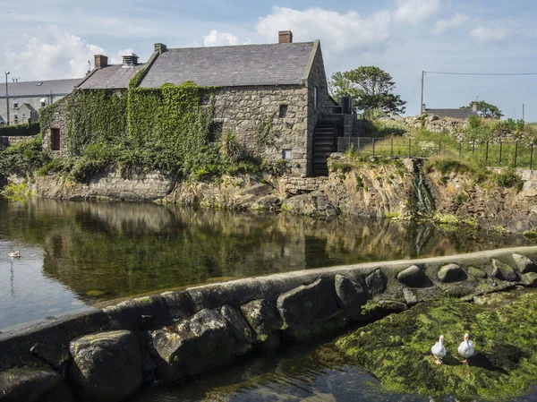 De oude molen en weir in annalong — Stockfoto