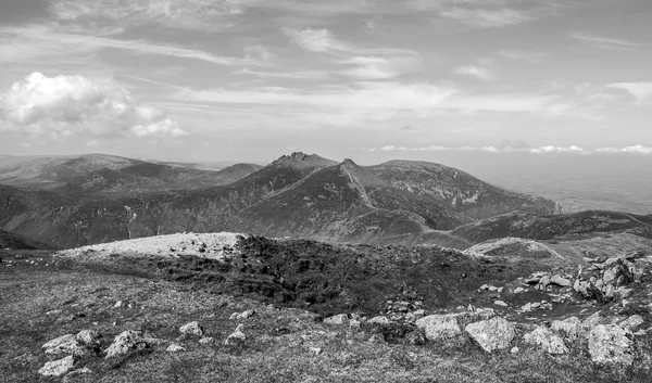 在 mournes 中的野兔差距 — 图库照片