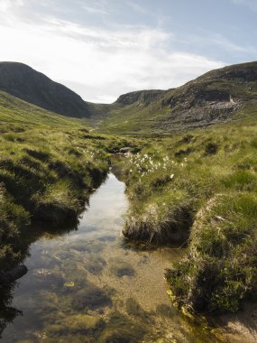 trassey Nehri ve yabani tavşan gap mourne Dağları