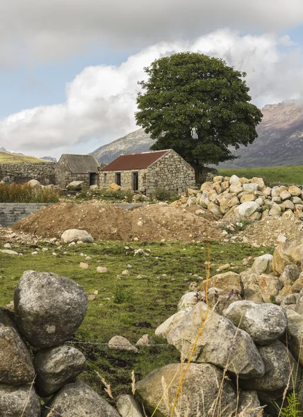 Régi tönkre a mournes — Stock Fotó