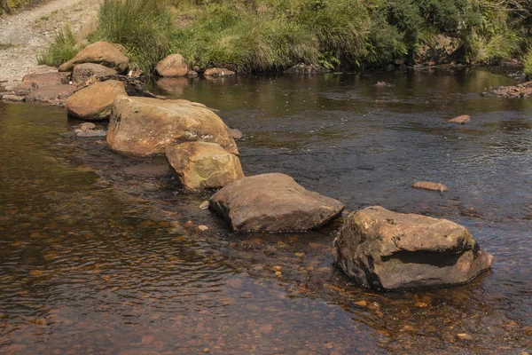 Nehir üzerinde büyük basamak taşları — Stok fotoğraf