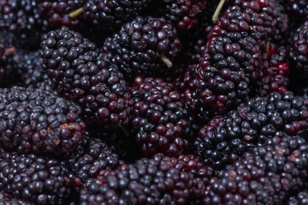 Frisch Geerntete Maulbeeren Weißen Teller — Stockfoto