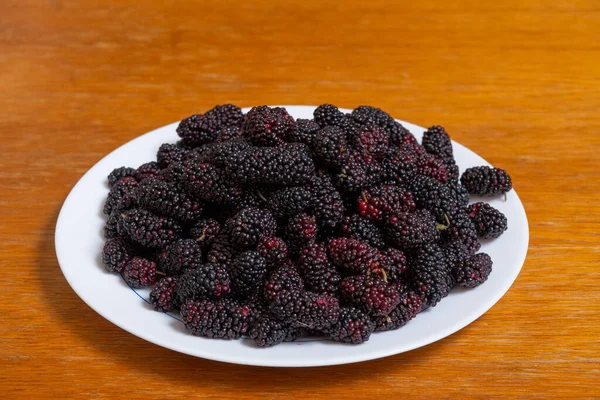 Freshly Harvested Mulberries White Plate — Stock Photo, Image
