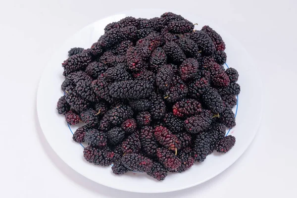 Freshly Harvested Mulberries White Background — Stock Photo, Image