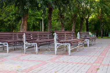 Parktaki yaz tiyatrosunda boş banklar. Karantina konsepti, tecrit