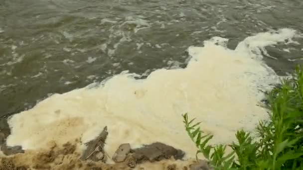 Βρόμικος Αφρός Στην Όχθη Του Ποταμού Περιβαλλοντική Ρύπανση — Αρχείο Βίντεο