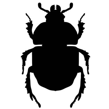 Beyaz arka planda siyah bir böcek silueti.