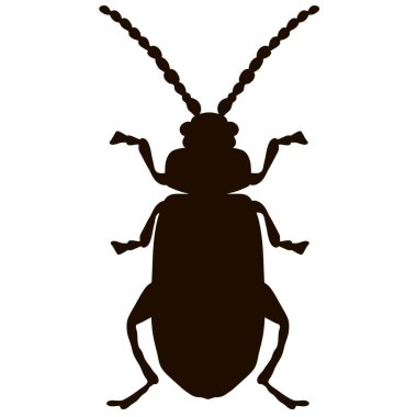 Beyaz arka planda siyah bir böcek silueti.