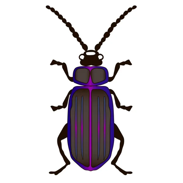 Colored Silhouette Beetle White Background — Stock Vector