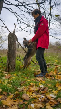 Sonbahar parkında köpeğini gezdiren orta yaşlı mutlu bir kadın. köpek ve insan ilişkisi