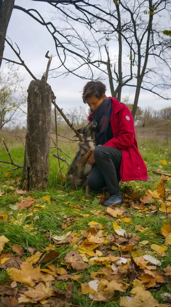 Sonbahar parkında köpeğini gezdiren orta yaşlı mutlu bir kadın. köpek ve insan ilişkisi