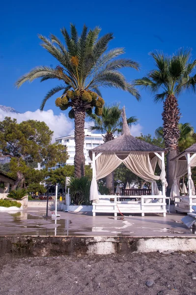 Deniz kıyısında. Hava açık. Yaz. Dinlen. Seyahatler. kumsal, palmiye ağaçları ve dağlar