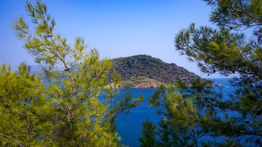 Dağlardan ağaçların dallarına doğru Karadeniz manzarası. Turizm. Seyahatler. Dağlara.
