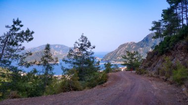 Dağlardan ağaçların dallarına doğru Karadeniz manzarası. Turizm. Seyahatler. Dağlara.