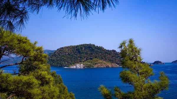 Dağlardan ağaçların dallarına doğru Karadeniz manzarası. Turizm. Seyahatler. Dağlara.