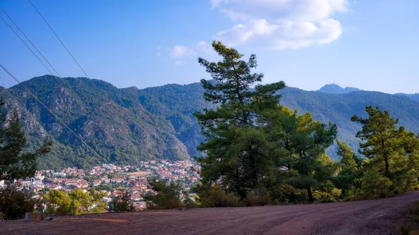 Dağlardan ağaçların dallarına doğru Karadeniz manzarası. Turizm. Seyahatler. Dağlara.