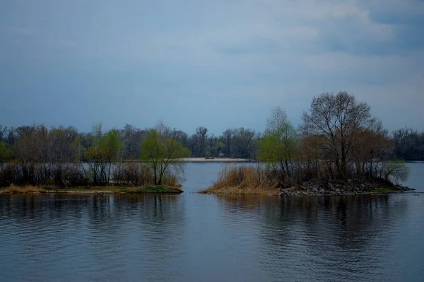 İlkbaharda, nehrin ortasında genç ağaçlar olan bir ada. Dnieper Nehri. Nehir, Avrupa 