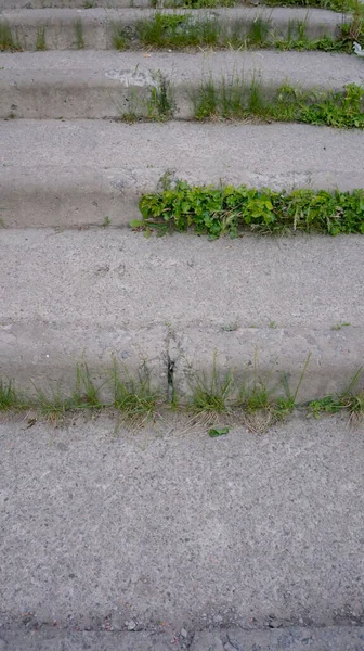 Old Concrete Stairs Overgrown Grass Stairs Pattern Surface Old Stone — ストック写真