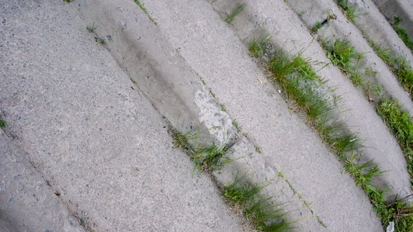 old concrete stairs with overgrown grass. stairs, pattern, surface, old, stone, texture, wall, cement, rough, background