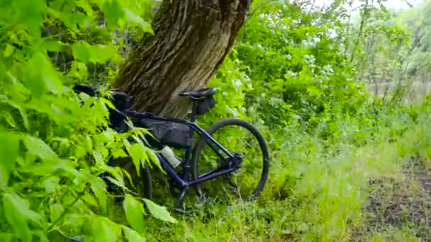 Bicicletta Ghiaia Tra Gli Alberi Con Fogliame Verde Viaggi Ghiaia — Video Stock