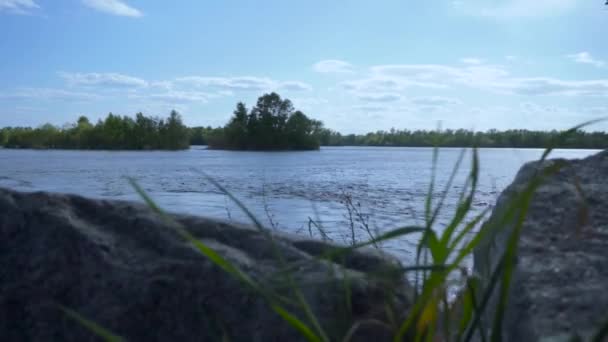 Krajobraz Rzeki Piękny Widok Dzika Rzeka Szybkim Strumieniem Woda Rzeczna — Wideo stockowe