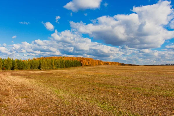 Vackra Moln Bakgrunden Ett Fält Hösten — Stockfoto