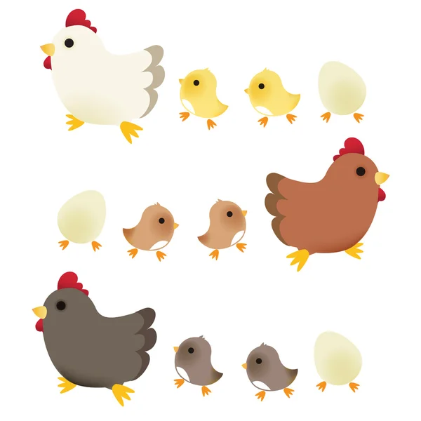 Mignon poulet — Image vectorielle