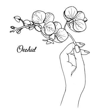  Elinde çiçek açan orkideler var.