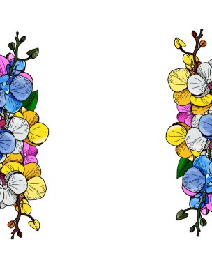 Renkli çiçek açan orkidelerle donatılmış çerçeve.