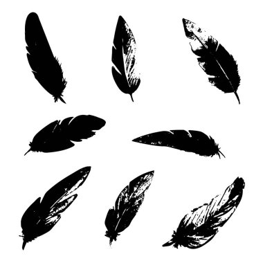 tüy vektör illüstrasyonunu siyah ve beyaz biçiminde