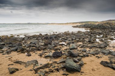 Newborough Warren geniş bir kum tepeciği sistemidir ve Anglesey 'in en güney kısmını kapsar.