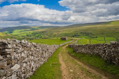 Yorkshire Dales 'de Swaledale' de Keld ve Muker arasındaki Pennine yolunda.